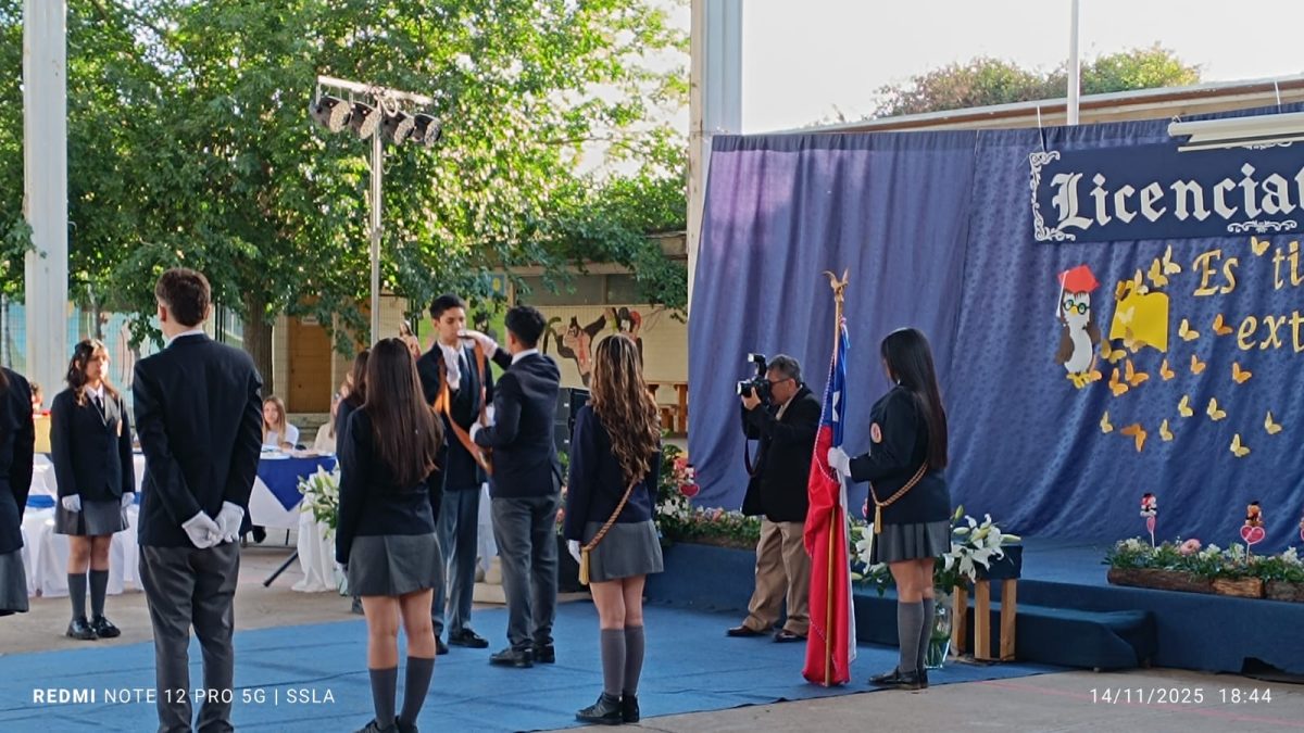 Licenciatura IV Medios