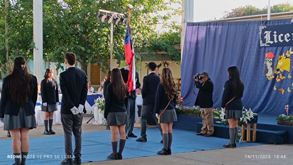 Licenciatura IV Medios