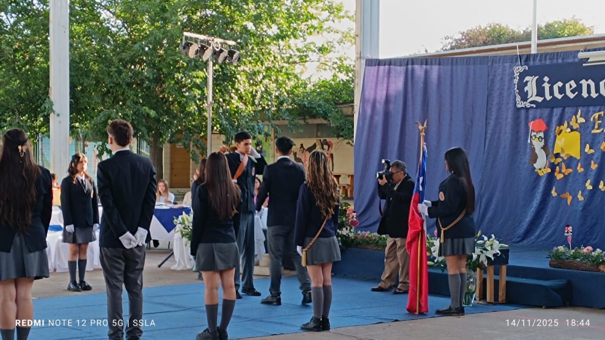 Licenciatura IV Medios