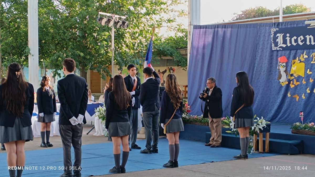 Licenciatura IV Medios