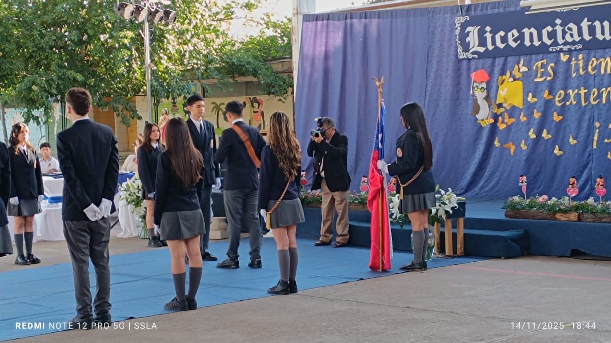 Licenciatura IV Medios