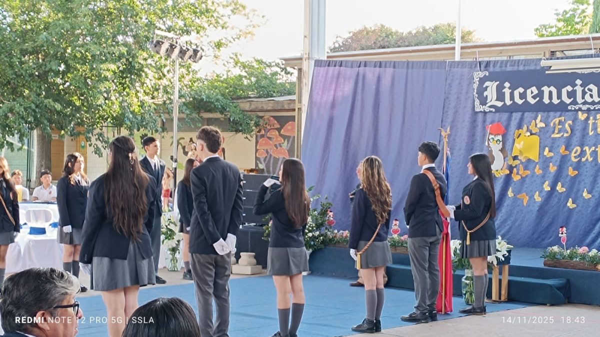 Licenciatura IV Medios