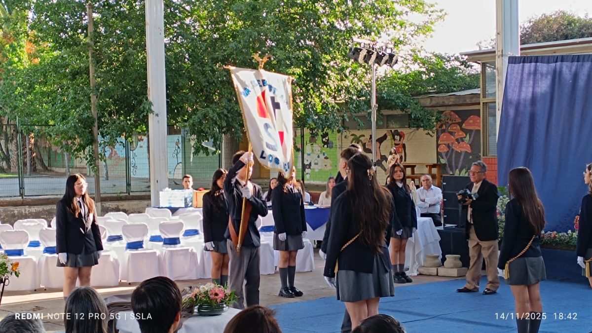 Licenciatura IV Medios