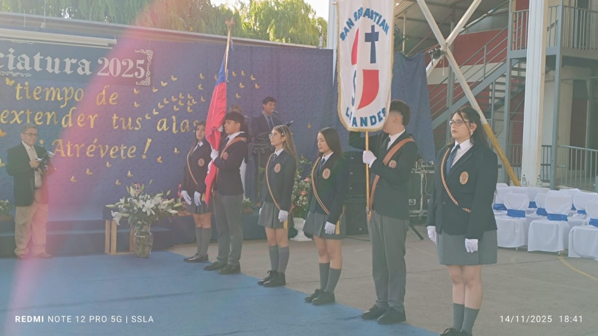 Licenciatura IV Medios