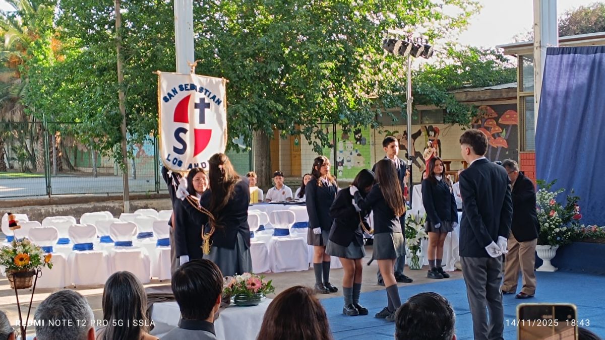 Licenciatura IV Medios