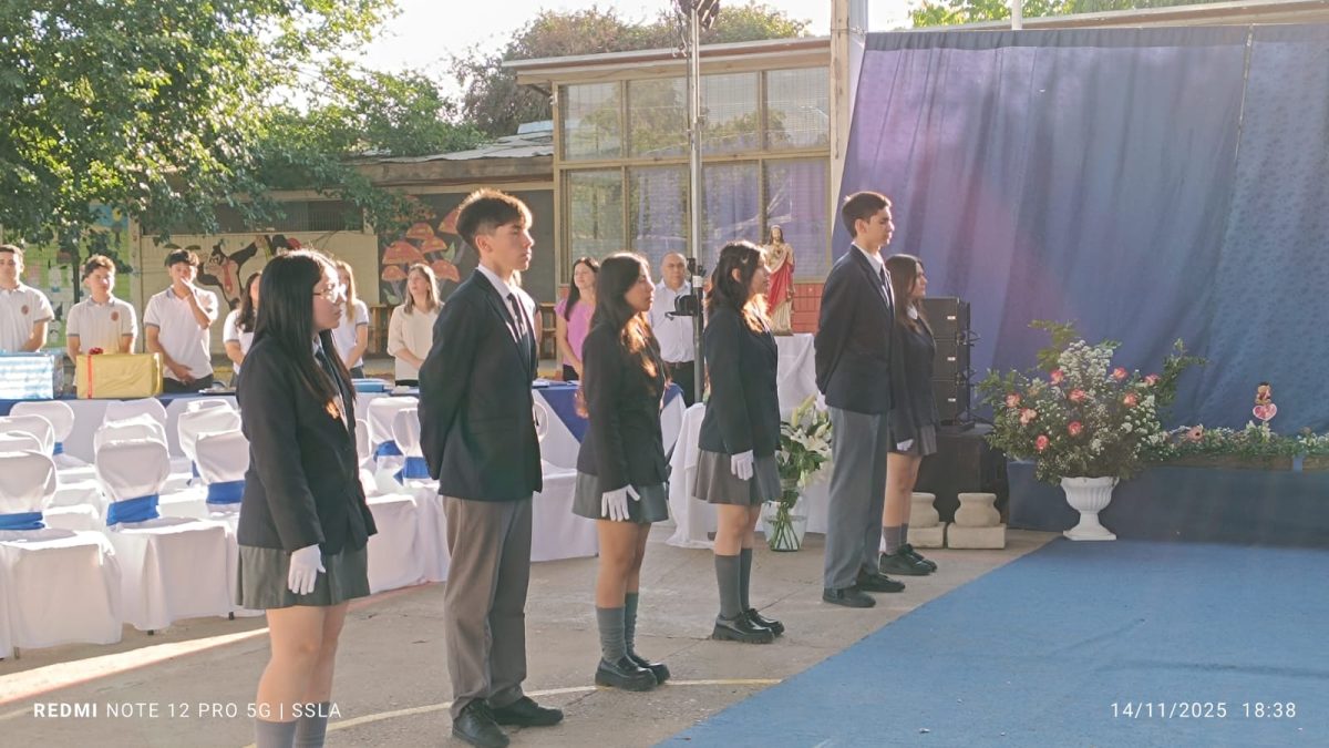 Licenciatura IV Medios