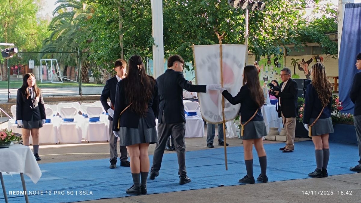 Licenciatura IV Medios