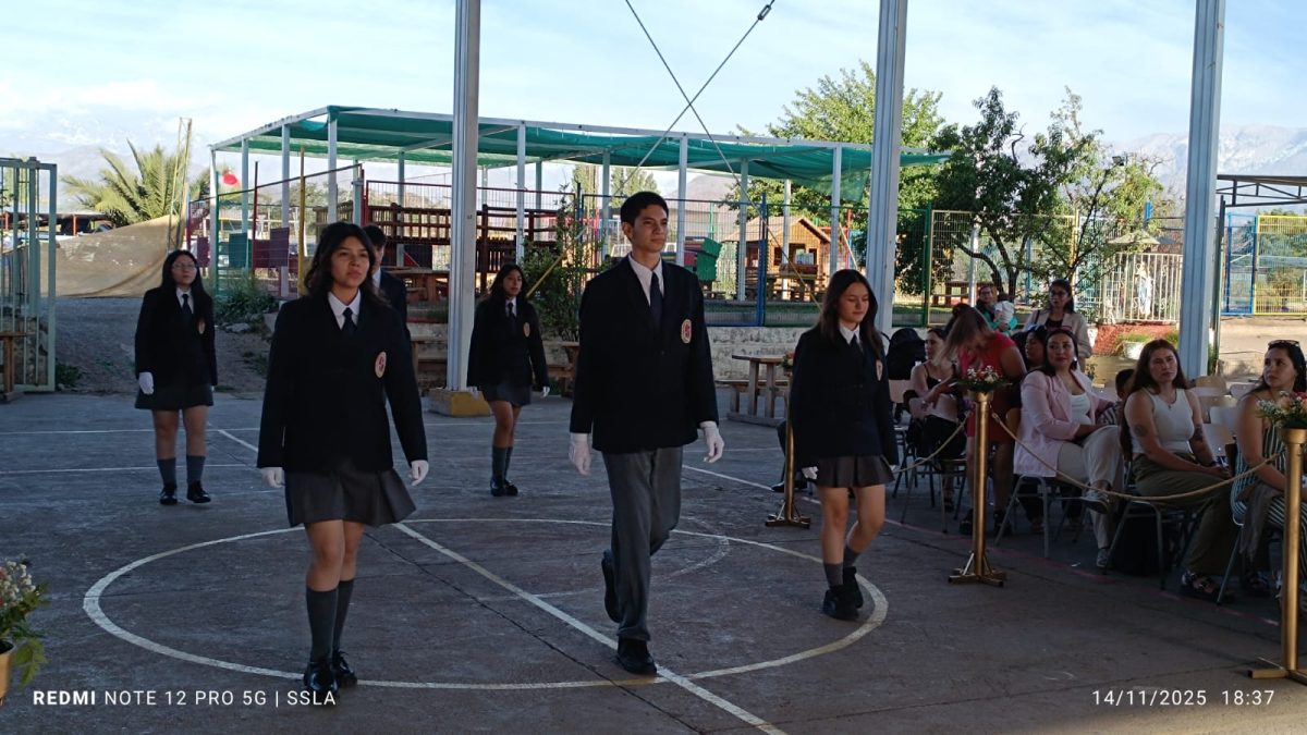 Licenciatura IV Medios