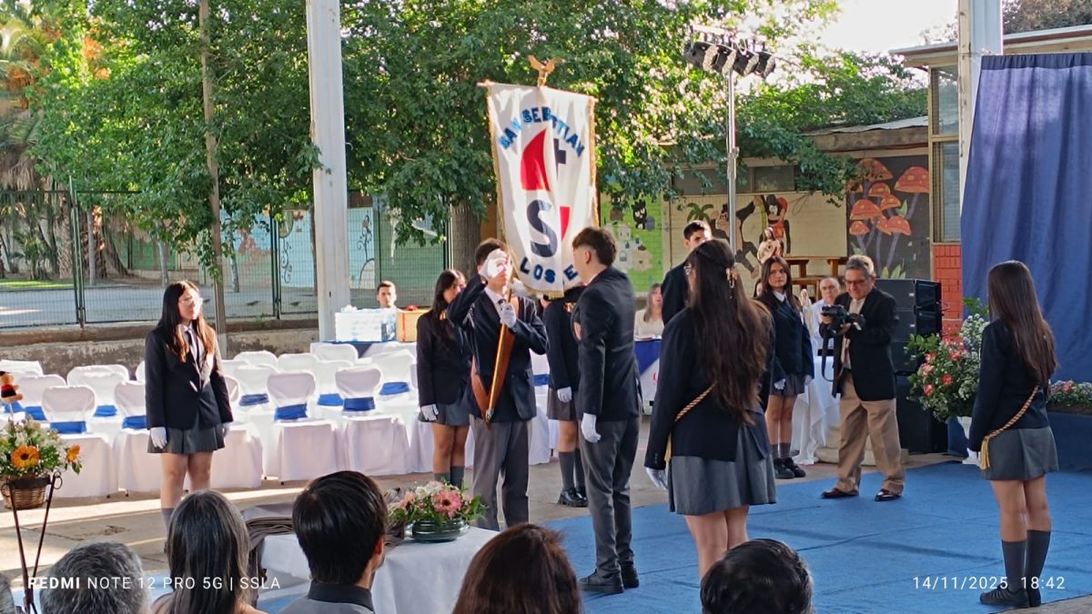 Licenciatura IV Medios