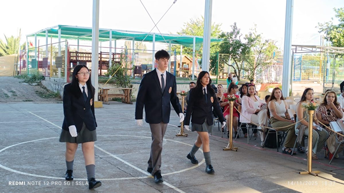 Licenciatura IV Medios