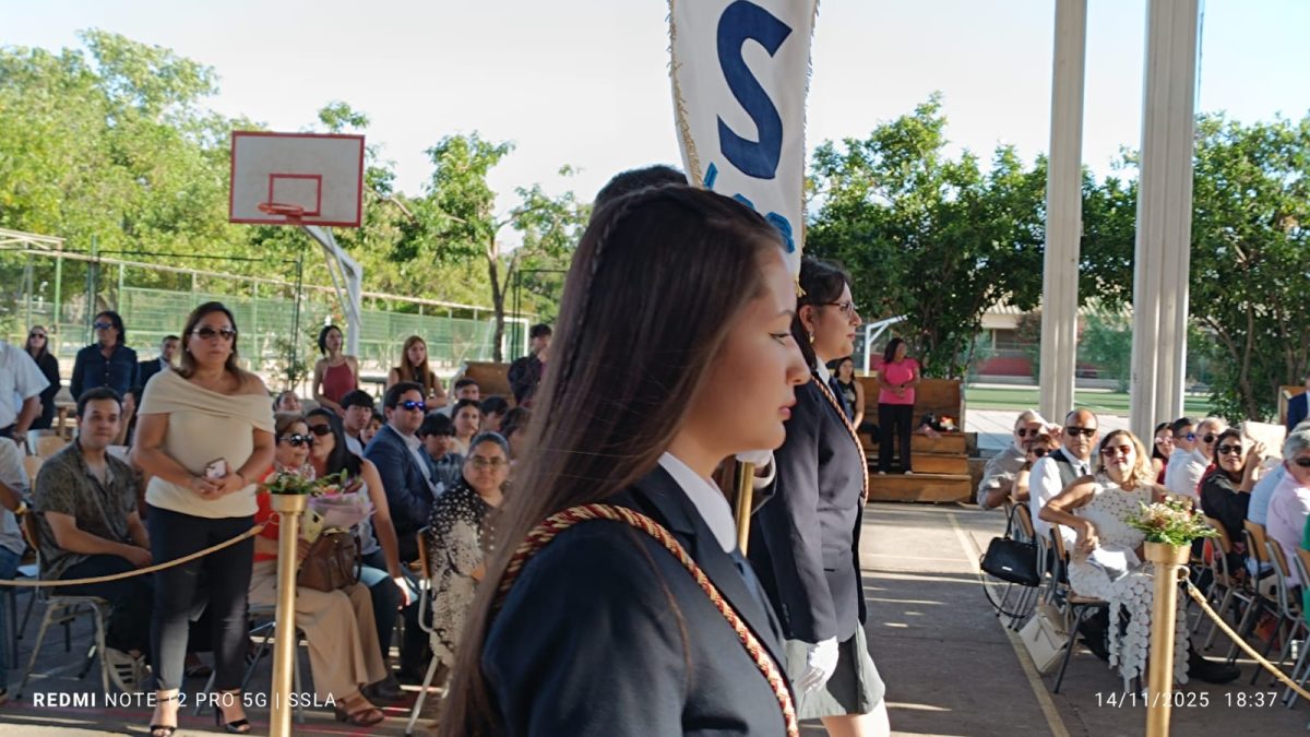 Licenciatura IV Medios