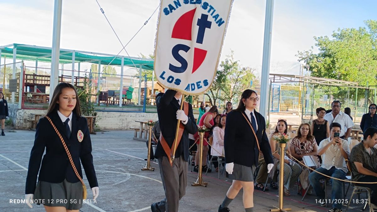 Licenciatura IV Medios