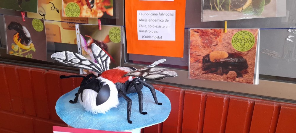 20 de mayo Día mundial de las abejas