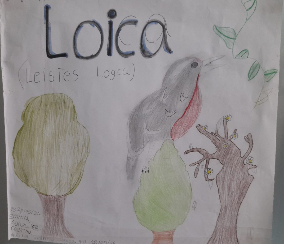 🌎Día mundial del medio ambiente🌳🦁🐳